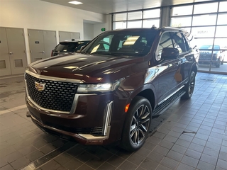 2023 Cadillac Escalade for sale in Plymouth MI