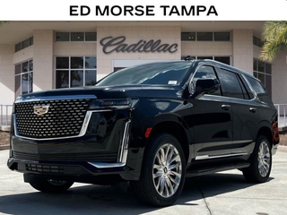 2024 Cadillac Escalade for sale in Tampa FL