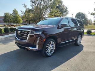 2023 Cadillac Escalade for sale in Mt. Juliet TN