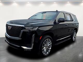 2023 Cadillac Escalade for sale in Salem OH