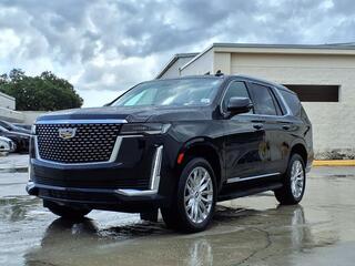 2024 Cadillac Escalade for sale in Tampa FL