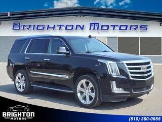 2017 Cadillac Escalade for sale in Brighton MI