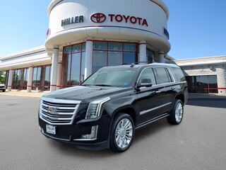 2019 Cadillac Escalade