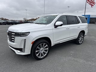 2024 Cadillac Escalade for sale in Johnson City TN