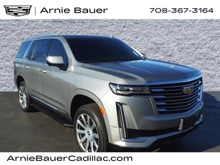 2023 Cadillac Escalade for sale in Matteson IL