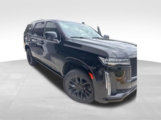 2023 Cadillac Escalade for sale in Brandon FL