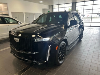 2023 Cadillac Escalade for sale in Plymouth MI