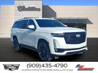 2021 Cadillac Escalade for sale in Meridian MS