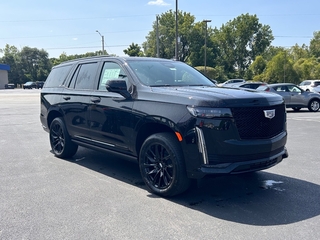 2024 Cadillac Escalade for sale in Elkhart IN