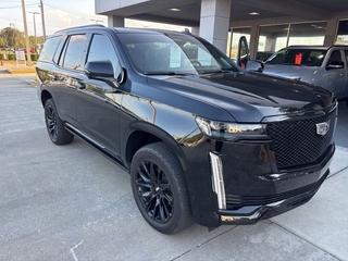 2023 Cadillac Escalade for sale in Brandon FL