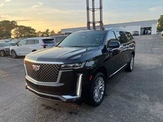 2022 Cadillac Escalade Esv for sale in Plymouth MI