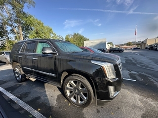 2015 Cadillac Escalade