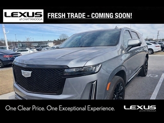 2022 Cadillac Escalade Esv for sale in Chattanooga TN