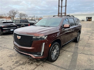 2022 Cadillac Escalade Esv for sale in Plymouth MI