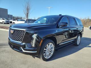 2025 Cadillac Escalade for sale in Mt. Juliet TN