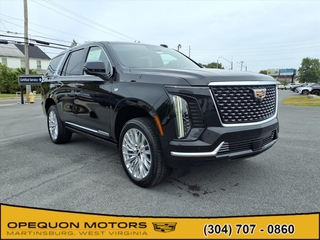 2025 Cadillac Escalade