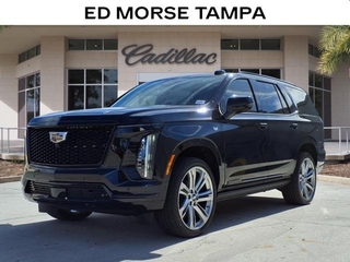 2025 Cadillac Escalade for sale in Tampa FL