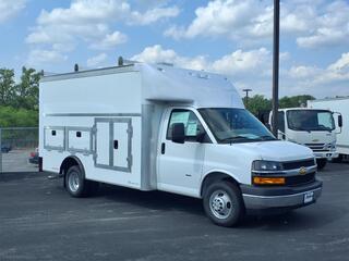 2025 Chevrolet Express for sale in Frankfort IL