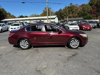 2012 Honda Accord for sale in Leicester NC