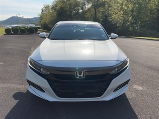 2019 Honda Accord for sale in Bristol TN