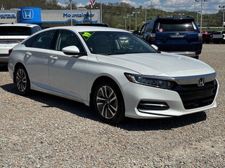 2019 Honda Accord Hybrid for sale in Bridgeport WV