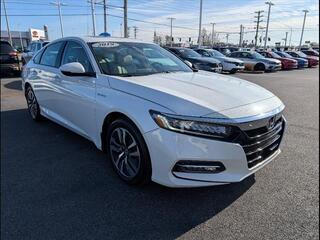 2019 Honda Accord Hybrid for sale in Bowling Green KY