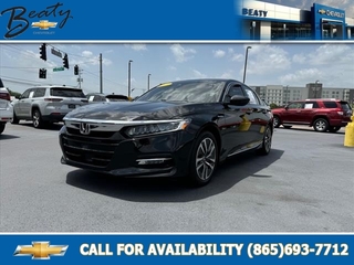 2019 Honda Accord Hybrid for sale in Knoxville TN