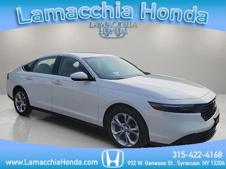 2023 Honda Accord for sale in Syracuse NY