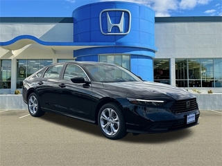 2025 Honda Accord for sale in Wallingford CT