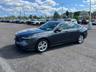 2024 Honda Accord for sale in Johnson City TN