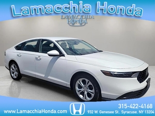 2023 Honda Accord for sale in Syracuse NY