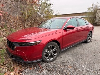 2024 Honda Accord for sale in Beckley WV
