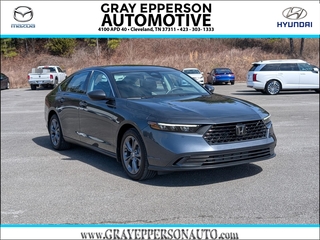 2024 Honda Accord for sale in Cleveland TN