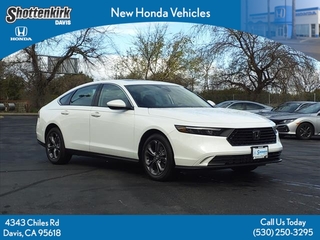 2024 Honda Accord for sale in Davis CA