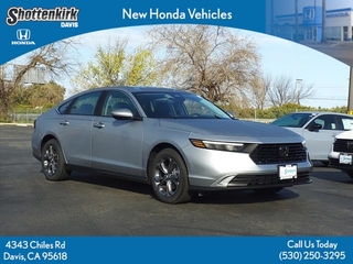 2024 Honda Accord for sale in Davis CA