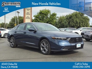 2024 Honda Accord for sale in Davis CA