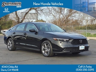 2024 Honda Accord for sale in Davis CA