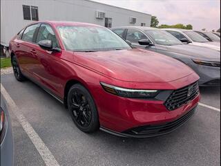 2025 Honda Accord for sale in Bowling Green KY