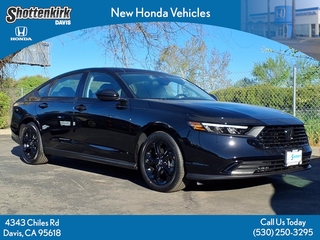 2025 Honda Accord for sale in Davis CA