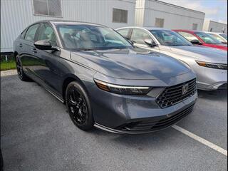 2025 Honda Accord for sale in Bowling Green KY