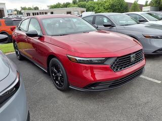 2025 Honda Accord for sale in Bowling Green KY