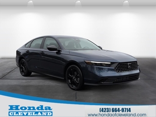 2025 Honda Accord for sale in Cleveland TN