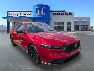 2025 Honda Accord for sale in Bowling Green KY