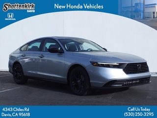 2025 Honda Accord for sale in Davis CA