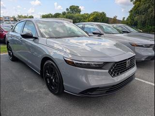 2025 Honda Accord for sale in Bowling Green KY