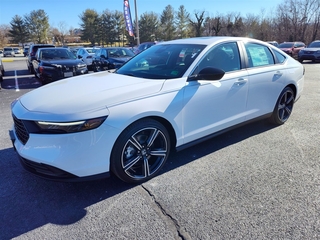 2025 Honda Accord Hybrid for sale in Roanoke VA