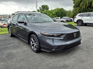 2025 Honda Accord Hybrid for sale in Bowling Green KY
