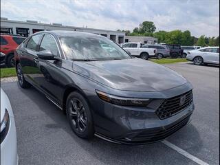 2025 Honda Accord Hybrid for sale in Bowling Green KY