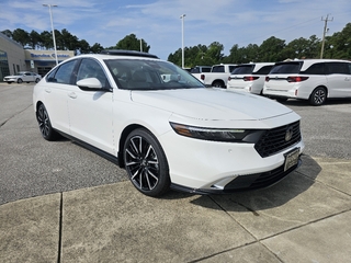 2025 Honda Accord Hybrid for sale in Morehead City NC