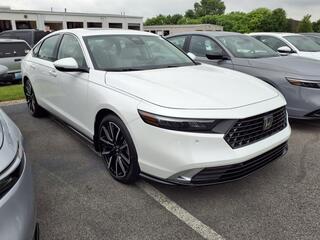 2025 Honda Accord Hybrid for sale in Bowling Green KY